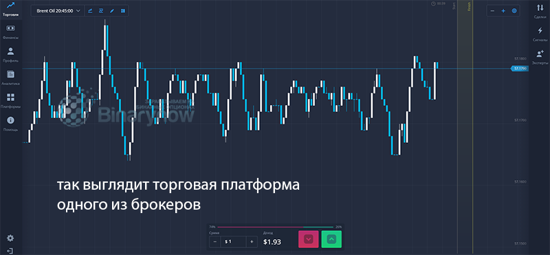 Знакомимся поближе с программным обеспечением